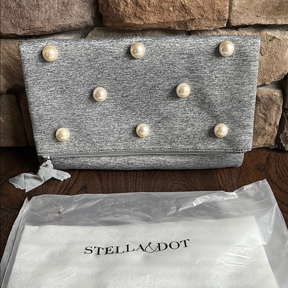 Stella & Dot clutch